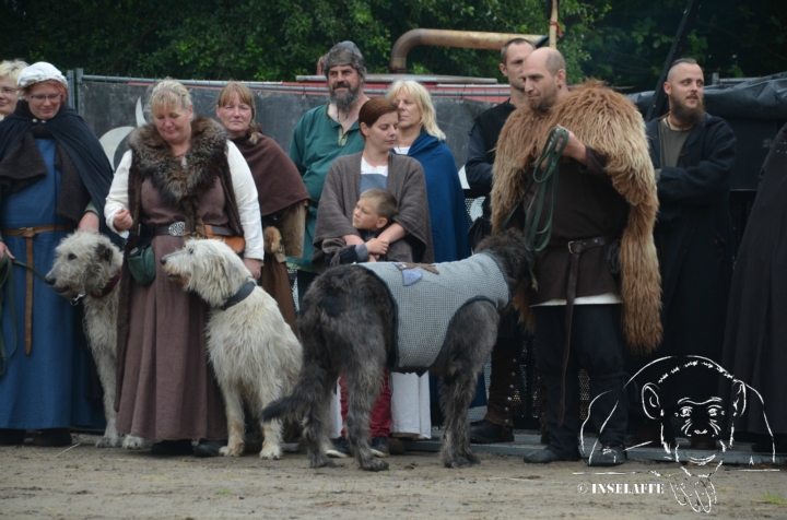 009 Basthorst 2017 Samstag
