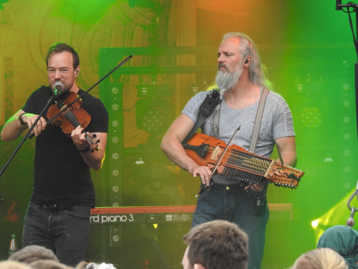 44_Versengold_nachmittags
