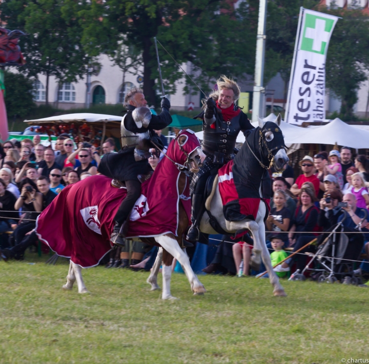 MPS-Dresden 13 20120609