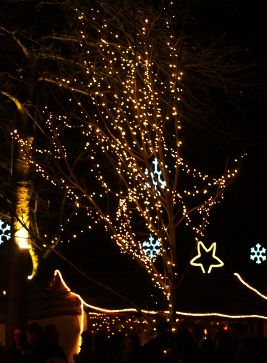 Weihnachtsmarkt Telgte Ambiente (4)