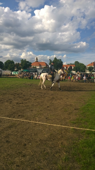 MPS Dresden 2014 (25)