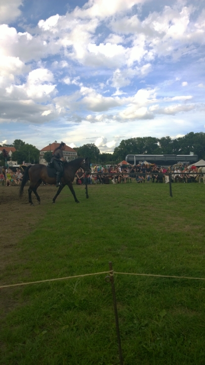 MPS Dresden 2014 (26)