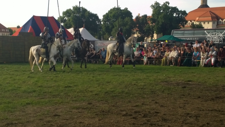 MPS Dresden 2014 (36)