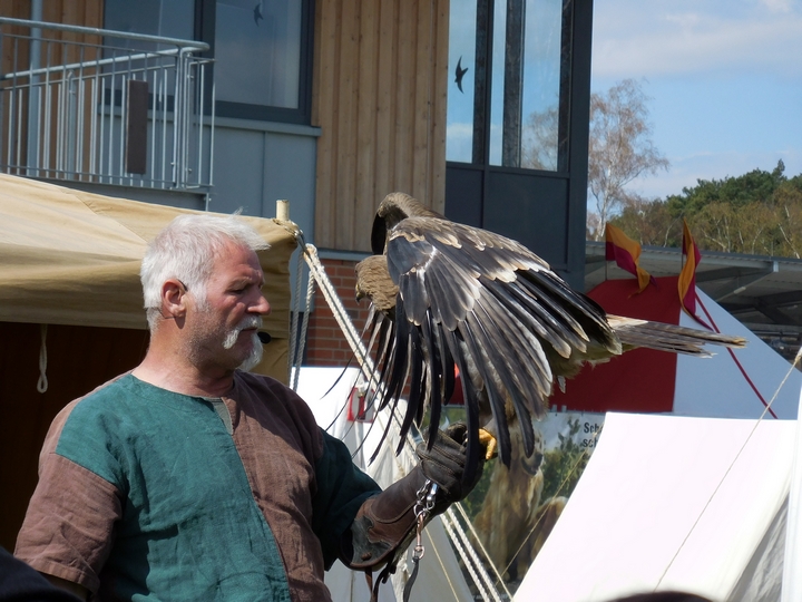 Achim Häfner - Falkner der Herzen 29