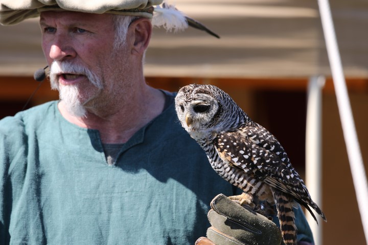 Achim der Vogelflüsterer 1