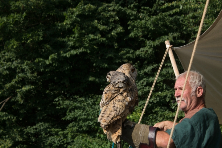 Falkner Achim und seine liebenswerten Vögel (12)