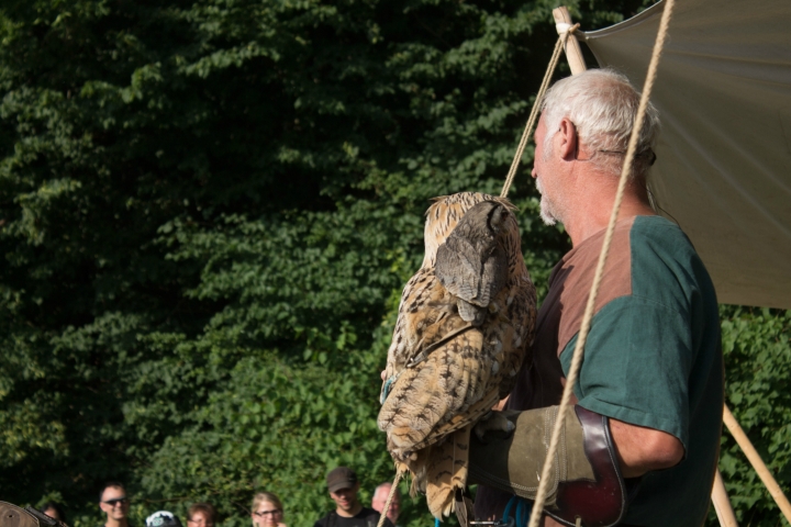 Falkner Achim und seine liebenswerten Vögel (13)