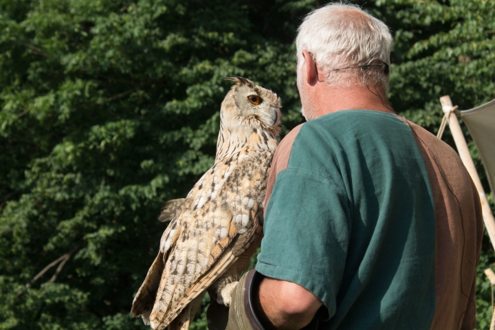 Falkner Achim und seine liebenswerten Vögel (6)