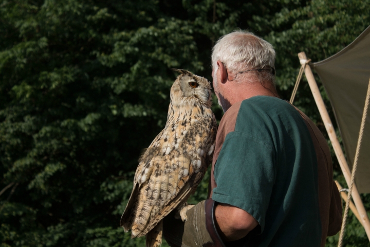 Falkner Achim und seine liebenswerten Vögel (7)