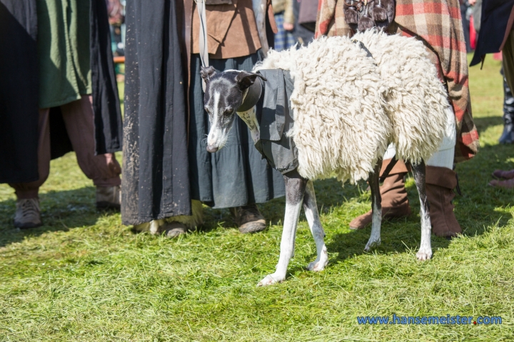 MPS Oejendorf Besucherfotos (138)