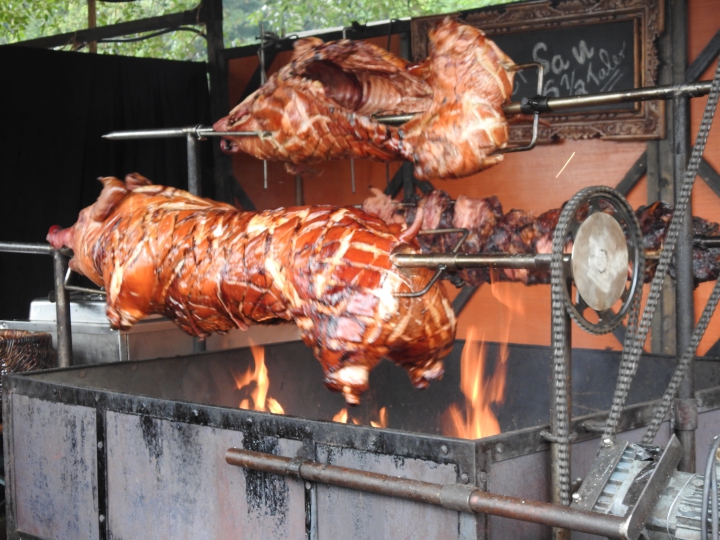 KeinSchwein_gehabtSchwein