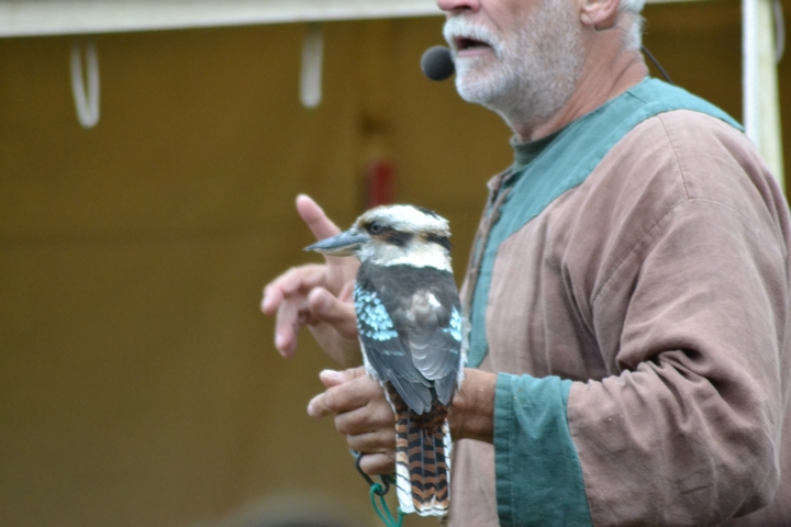 Falkner der Herzen Achim Häfner 13