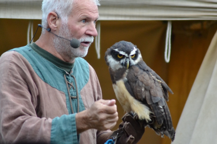 Falkner der Herzen Achim Häfner 19